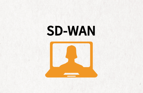 智能網絡優(yōu)化SD-WAN