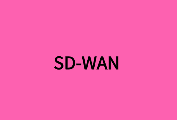 SD-WAN對多地點企業(yè)有什么好處?