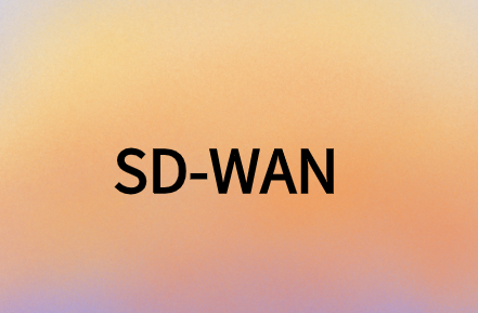 SD-WAN提供安全、靈活且經(jīng)濟(jì)高效的解決方案