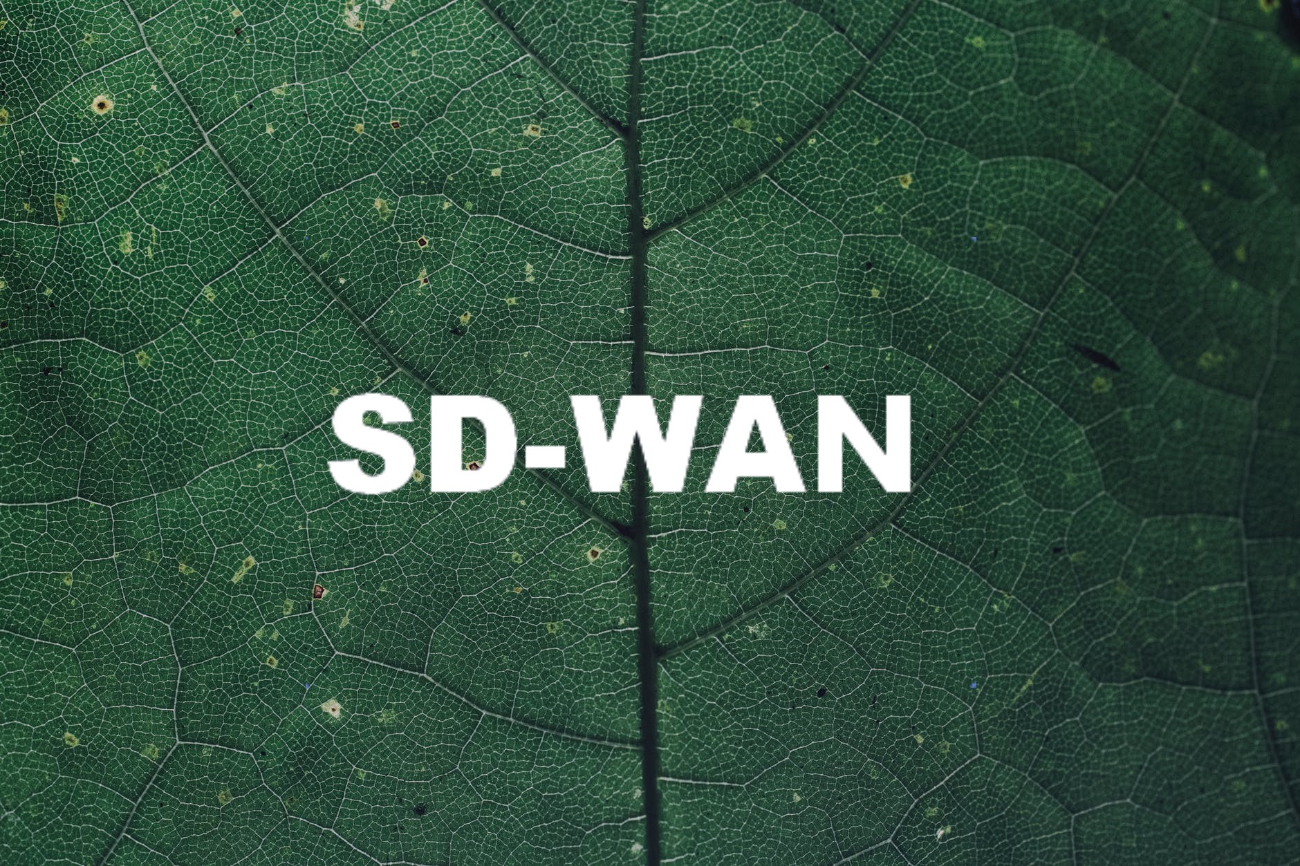 利用SD-WAN技術(shù)避免或減少中斷