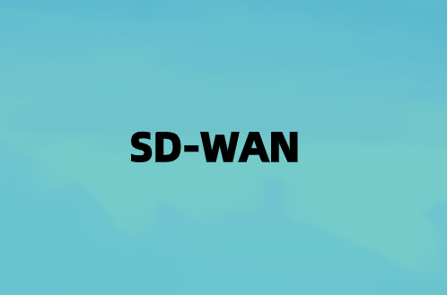 輸入SD-WAN連接數(shù)據(jù)和應用程序