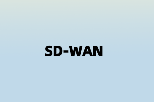 SD-WAN在對等問題中實現什么?