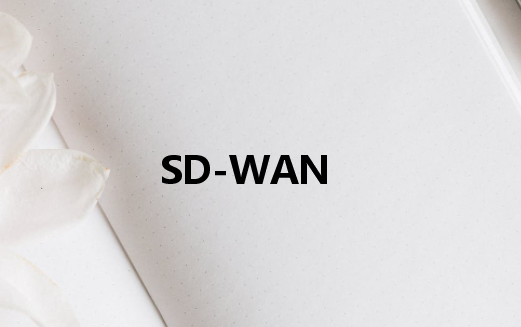 專用網(wǎng)絡SD-WAN