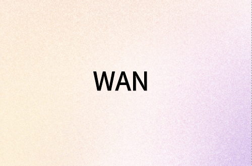 廣域網(wǎng)(WAN)接口類(lèi)型