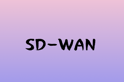 企業(yè)利用SD-WAN解決方案進(jìn)行組網(wǎng)的好處