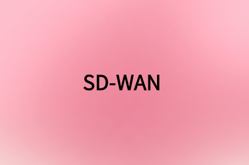 SD-WAN網(wǎng)絡(luò)質(zhì)量