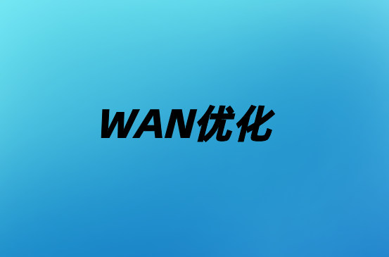 通過WAN優(yōu)化避免性能不穩(wěn)定的慢速網(wǎng)絡