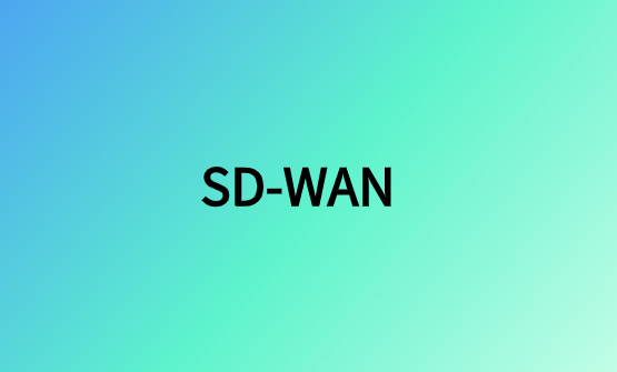 SD-WAN：企業(yè)級網(wǎng)絡(luò)組網(wǎng)解決方案